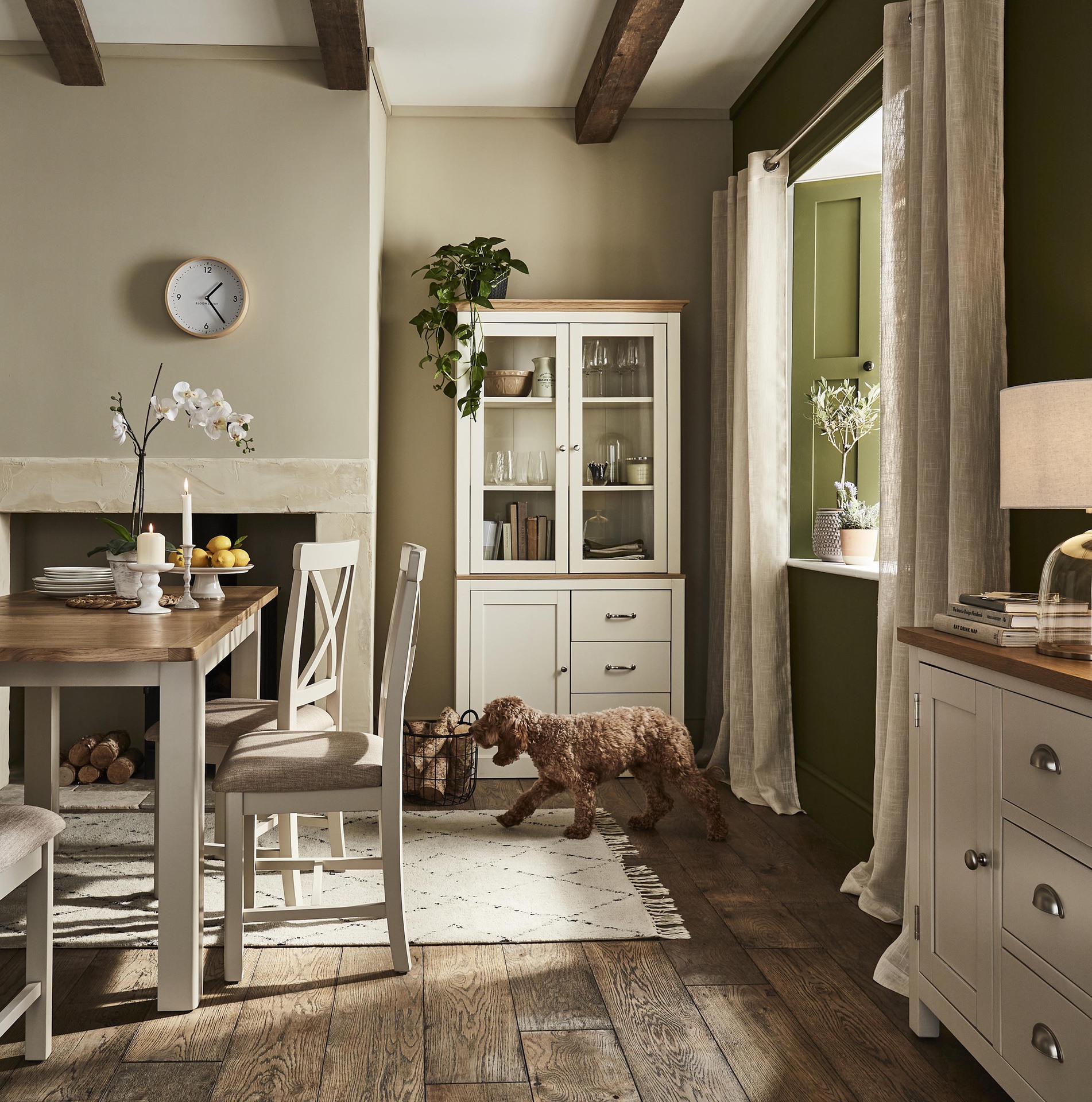 a dog is standing in the middle of a dining room